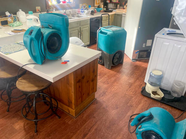 Reliable Spirit Lake, ID Water damage restoration Solutions